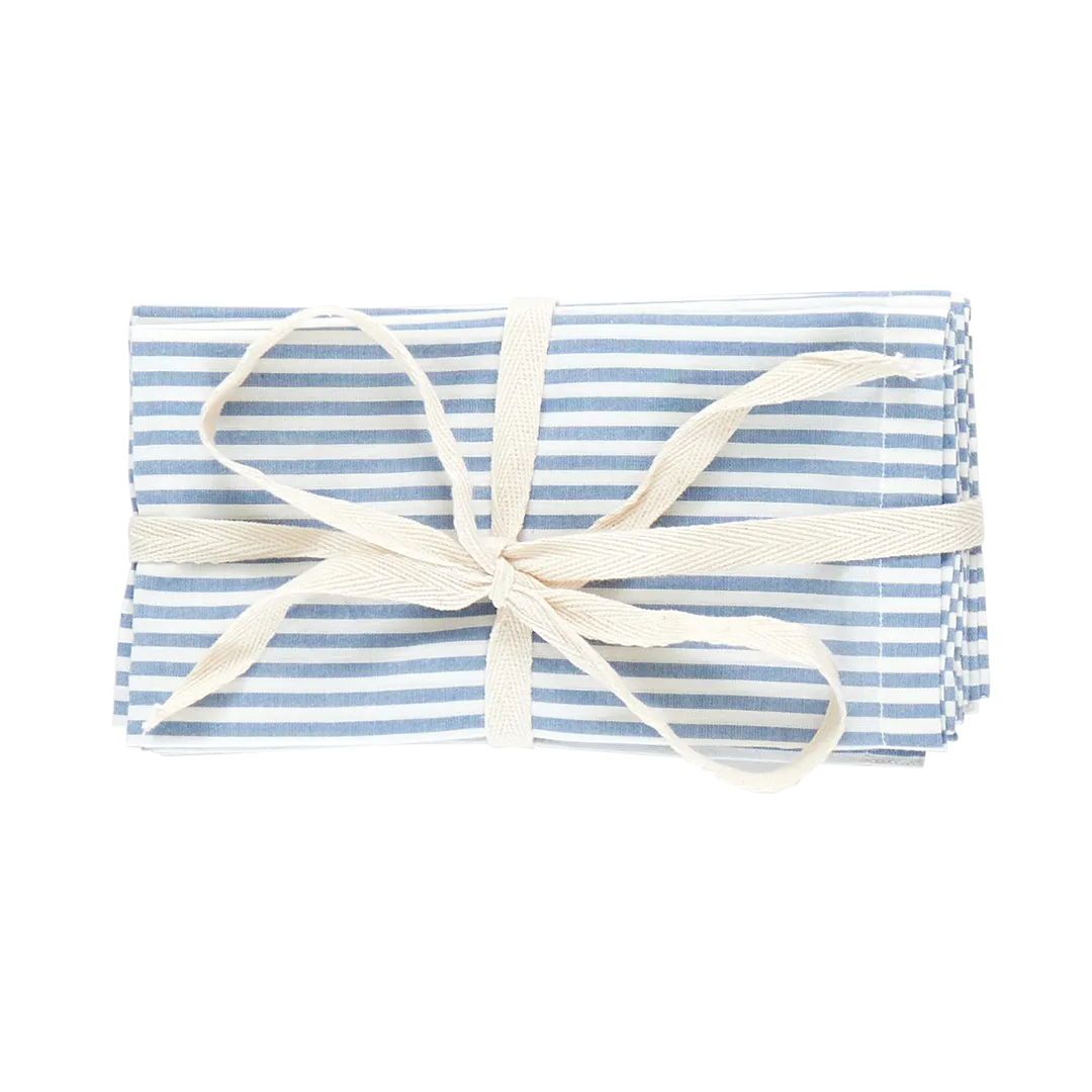 4-Pack Napkin Set - Blue Skinny Stripes