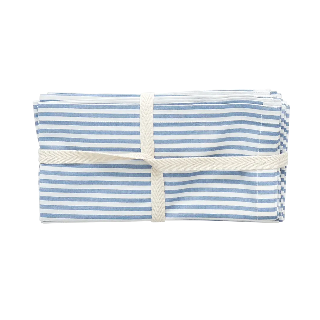 4-Pack Napkin Set - Blue Skinny Stripes