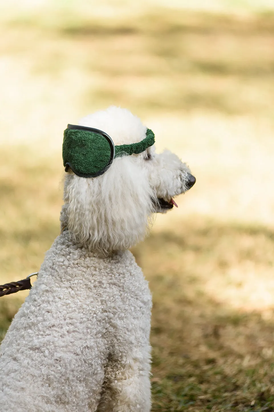 Evergreen | Sleep Mask