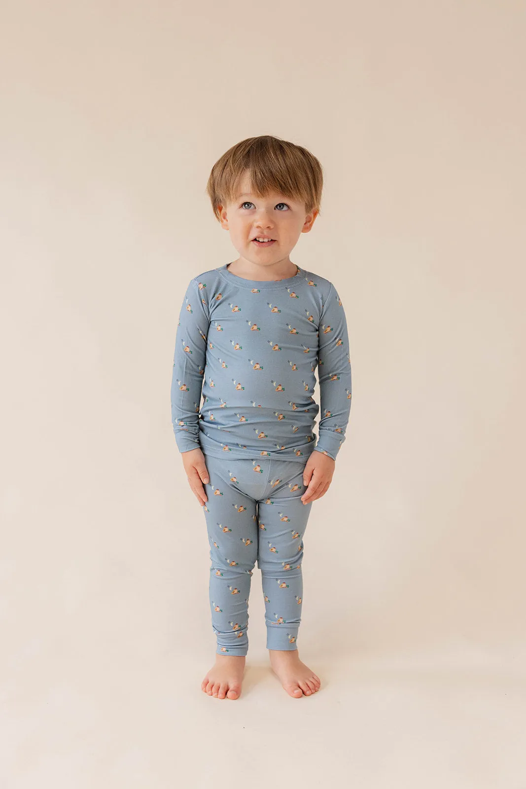 Percy - CloudBlend™ Long Sleeve Pajamas Set